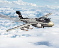 Grumman EA-6B Prowler VMAQ-2 Playboys #KIN48112