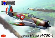 Curtiss Hawk 75C-1 (French & Vichy AF) #KPM72419