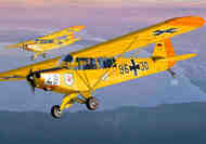 Piper L-18/21 'Military users' #KPM72537