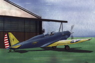 Consolidated PB-2A Single seater - Pre-Order Item* #LF48015