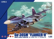 Su-30SM Flanker-H #LNRL4830