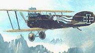 Austro-Hungarian Phoenix D.II #MAC72036