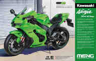 Kawasaki Ninja ZX-10RR Motorcycle #MGKMT008