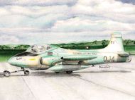 BAC Strikemaster (2 Kits): Botswana, Sudan an #MINI322