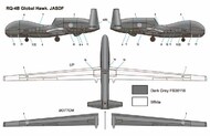 Northrop Grumman RQ-4B GLOBAL HAWK / JASDF #MINI374