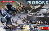 Pigeons #MNA38036