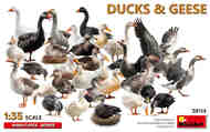 Ducks & Geese - Pre-Order Item #MNA38114