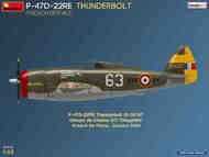 Republic P-47D-22RE Thunderbolt French Service, Basic Kit #MNA48047