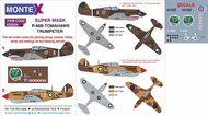  Montex Masks  1/32 Curtiss P-40B Tomahawk 2 canopy masks (exterior and interior) + 3 insignia masks + decals MXK32254