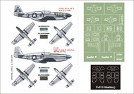  Montex Masks  1/48 North-American P-51B Mustang 2 canopy masks (exterior and interior) + 1 insignia masks MXK48147