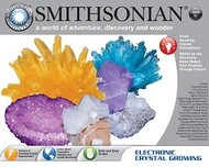 Smithsonian Large Crystal Growing Kit #NSI49010