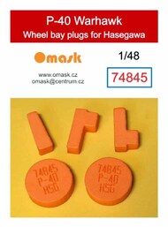 Wheel Bay Plugs - P-40 Warhawk (HAS kit) #OMK74845