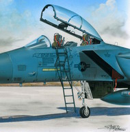  Plus Model  1/48 Ladder for McDonnell F-15 Eagle PMAL4060