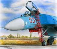 Ladder for Sukhoi Su-27 #PMAL4062