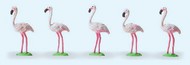  Preiser  HO Flamingos (5) PRZ20372