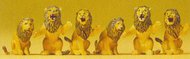 Circus Lions (6) #PRZ20381