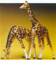  Preiser  HO Giraffes (2) PRZ20385