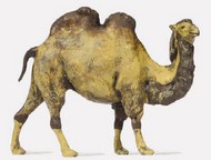  Preiser  HO Camel PRZ29506
