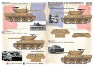  Print Scale Decals  1/35 M10 Tank Destroyer of the Regiment Blinde de Fusiliers-Marines PSL35-005