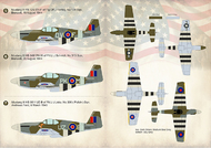 V-1 Flying Bomb Aces Mustang #PSL72286
