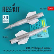  ResKit  1/48 AGM-12C Bullpup B missiles (2 pcs) (A-4, A-5, Grumman A-6, A-7, F-4, F-8, F-100, F-105, P-3 Orion, Sea Vixen, Buccaneer) RS48-0429