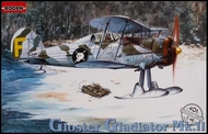  Roden  1/48 Gloster Gladiator MkII BiPlane Fighter w/Skis ROD401