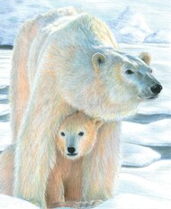 Royal Langnickel  NoScale Polar Love (Bear w/Cub) Pencil by Number Age 8+ (8.75"x11.75") RAL37365