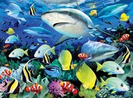  Royal Langnickel  NoScale Reef Sharks Paint by Number Age 8+ (11.25"x15.375") RAL37370