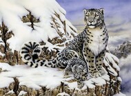  Royal Langnickel  NoScale Alpine Royalty (Snow Leopards) Paint by Number Age 8+ (11.25"x15.375") RAL37375