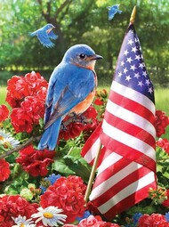 Patriotic Bluebird w/American Flag Paint by Number Age 8+ (8.75