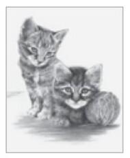  Royal Langnickel  NoScale Kittens w/Ball of Yarn Sketching Made Easy Age 8+ (11.25"x15.375") RAL38673