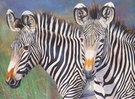  Royal Langnickel  NoScale Zebras Paint by Number Age 8+ (11.25"x15.375") RAL38799