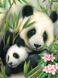  Royal Langnickel  NoScale Panda & Baby Paint by Number Age 8+ (8.75"x11.75") RAL5682