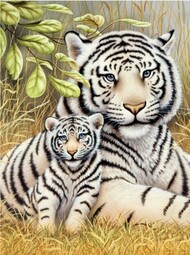  Royal Langnickel  NoScale White Tiger Pair Paint by Number Age 8+ (8.75"x11.75") RAL7723