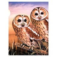  Royal Langnickel  NoScale Tawny Owls Paint by Number Age 8+ (8.75"x11.75") RAL94339