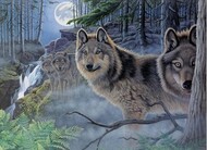  Royal Langnickel  NoScale Mystical Moonlight (Wolves) Paint by Number Age 8+ (11.25"x15.375") RAL94348