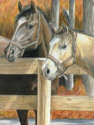  Royal Langnickel  NoScale Buck's Pal (Horses) Pencil by Number Age 8+ (8.75"x11.75") RAL94356