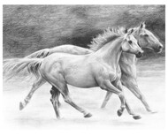 Running Free (Horses) Sketching Made Easy Age 8+ (11.25