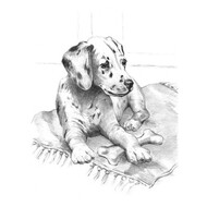  Royal Langnickel  NoScale Dalmatian Pup Sketching Made Easy Age 8+ (11.25"x15.375") RAL94429