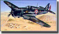 Curtiss P-36/H-75 Hawk #SME841