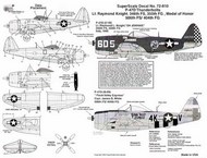 Republic P-47D Thunderbolt bubbletops (2) 226785/6D5 346FS/350FG 'Oh Johnnie' Lt Raymond Knight Italy 1945, OD/grey black/white check rudder; 228533 4K-V 506FS/404FG 'Flak Valley Express' Capt James White , natural metal #SSI72810
