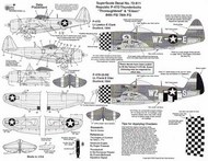 Republic P-47D Thunderbolt bubbletops 84FS/78FG Duxford 1944 (2) 226590 WZ-E 'Thoroughbred' Lt Clark; 228878 WZ-S 'Eileen' fuselage D-Day stripes. both RAF Dk Green/grey, black/white check nose #SSI72811