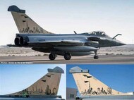  Syhart Decal  1/48 Dassault Rafale C 7-HR & 7-GM '10 years in United Arab Emirates' SY48134
