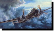  Tamiya Models  1/48 Heinkel He.219 Uhu TAM61057