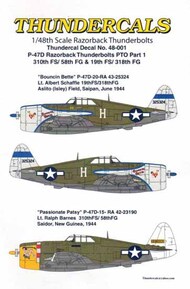  Thundercals  1/48 Republic P-47D Thunderbolt 'Razorback' PTO Part 1 (2) TCT48001
