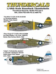  Thundercals  1/48 Republic P-47D Thunderbolt 'Razorback' PTO Part 2 (3) TCT48002
