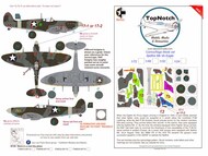  TopNotch  1/24 Supermarine Spitfire Mk.Vb Eagle camouflage pattern paint masks TNM24-M115