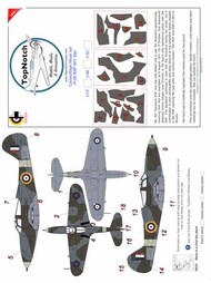  TopNotch  1/32 Bell P-39/P-400 Airacobra 601 Sqn RAF camouflage pattern paint masks TNM32-M069