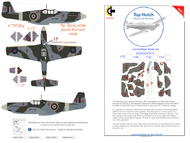 North-American P-51B/A-36 Mustang Pattern A camouflage pattern paint mask #TNM32-M080