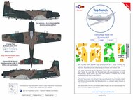  TopNotch  1/32 Douglas Skyraider A-1H/A-1J TNM32-M100